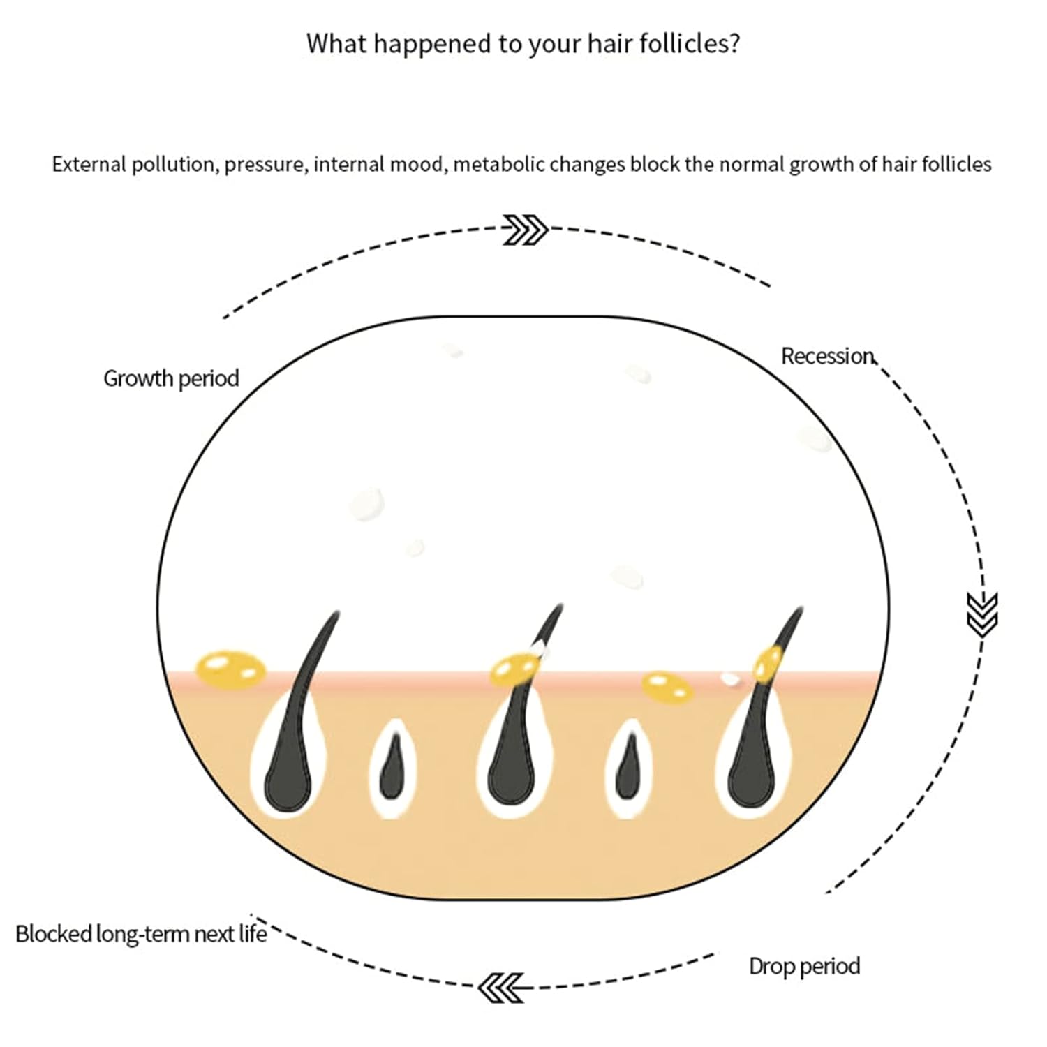 Anti-Hair Loss Caffeine Shampoo