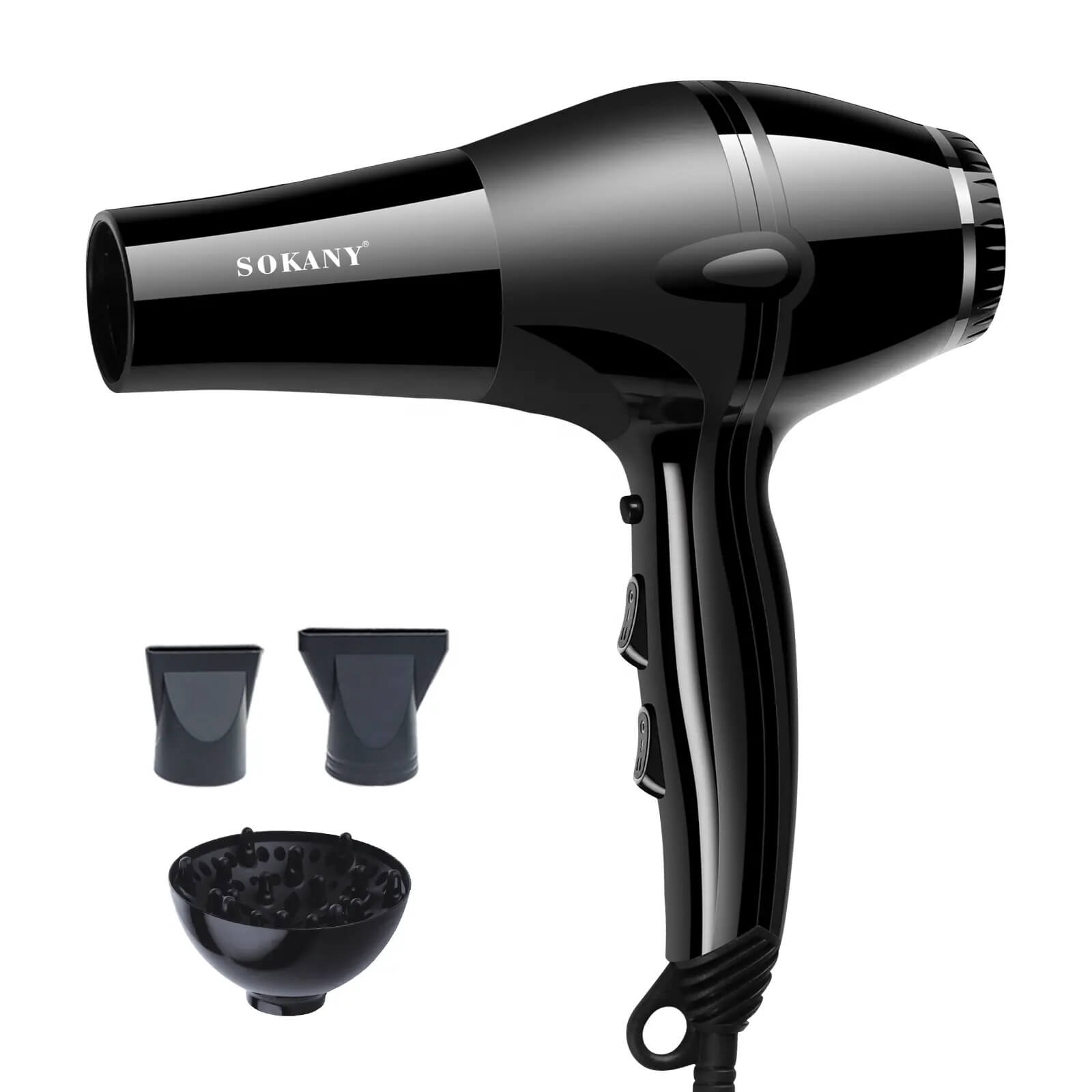 Professional Ionic Hair Dryer